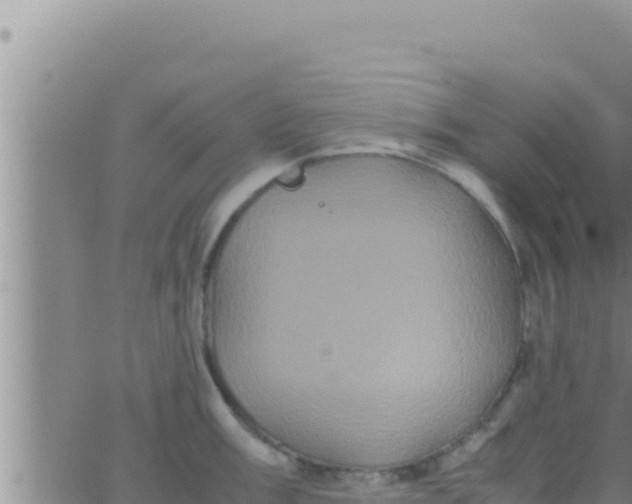 X0000062831003200601271946