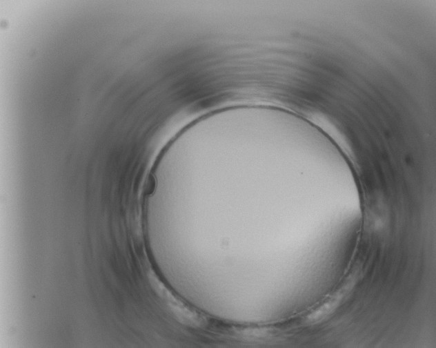 X0000062831004200601271946