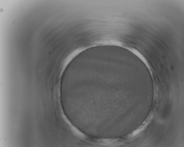 X0000062831005200601271946