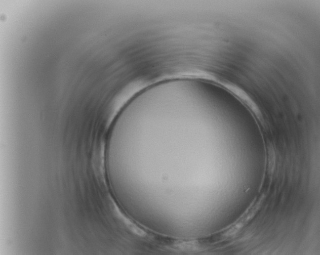 X0000062831006200601271946