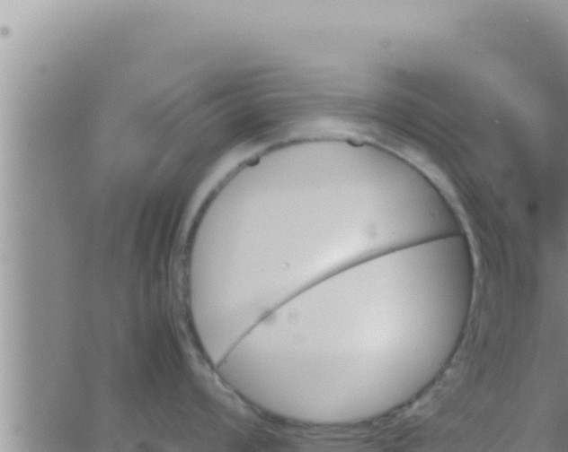 X0000062831008200601271946