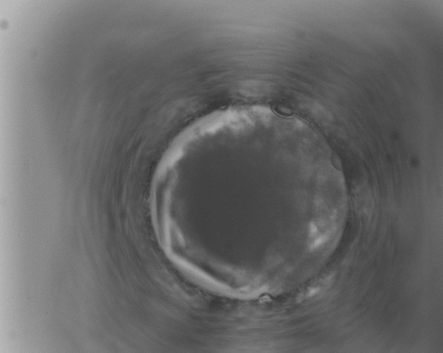 X0000062831009200601271945