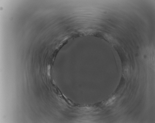 X0000062831010200601271945