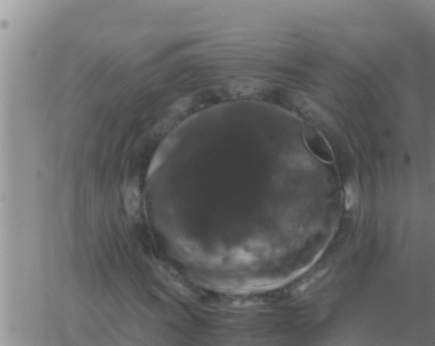 X0000062831011200601271945