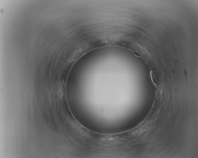 X0000062831012200601271945