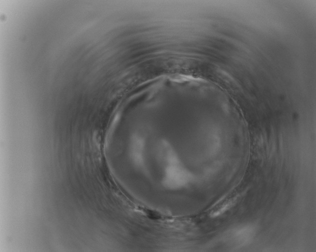 X0000062831013200601271946