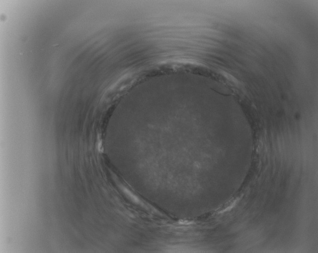 X0000062831014200601271946