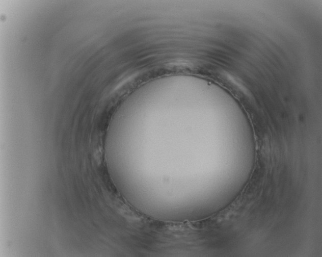 X0000062831015200601271946