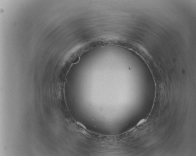 X0000062831016200601271946