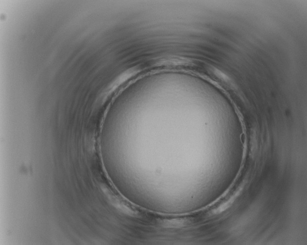 X0000062831017200601271946