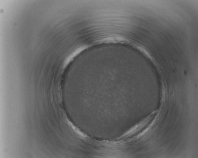 X0000062831018200601271946