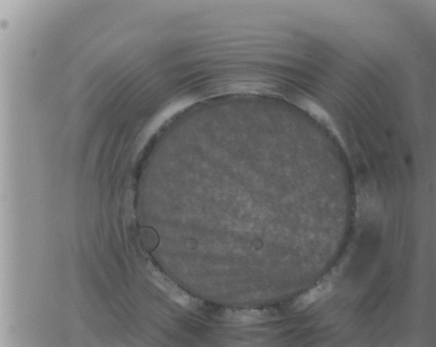 X0000062831019200601271946