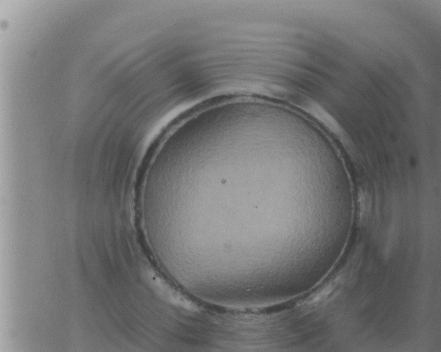 X0000062831020200601271946