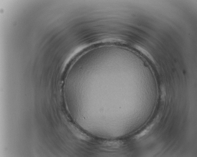 X0000062831021200601271946