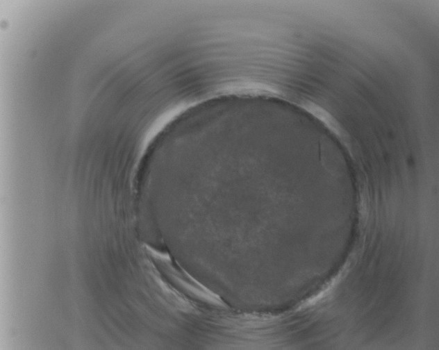 X0000062831022200601271946