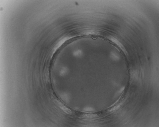 X0000062831023200601271946