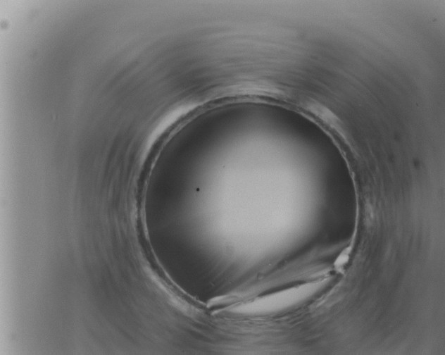 X0000062831024200601271946