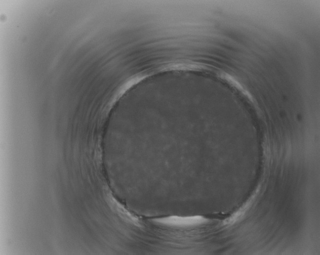 X0000062831025200601271946