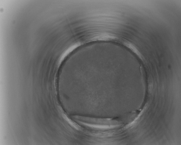 X0000062831026200601271946