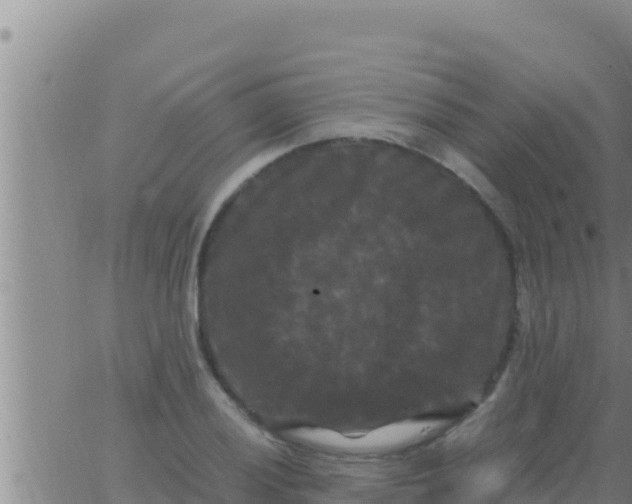 X0000062831028200601271946