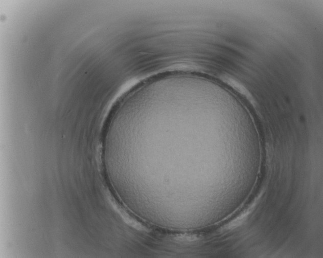 X0000062831029200601271946