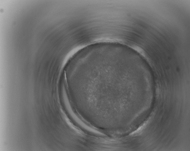 X0000062831030200601271946