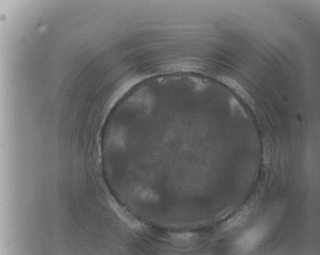 X0000062831031200601271946