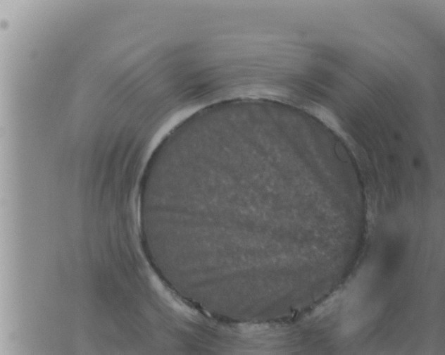 X0000062831032200601271946