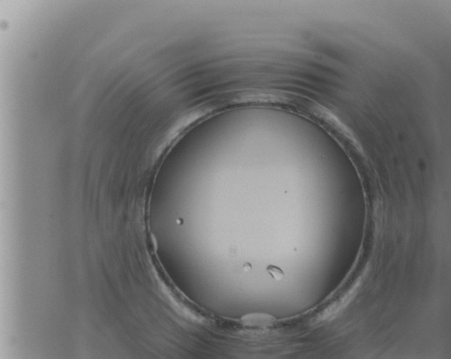 X0000062831033200601271946