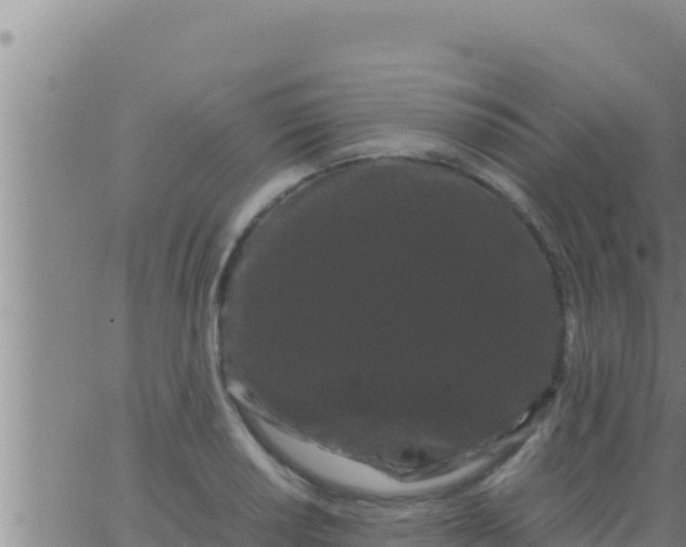 X0000062831034200601271946