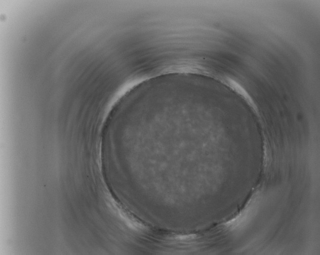 X0000062831035200601271946