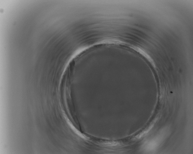 X0000062831037200601271946