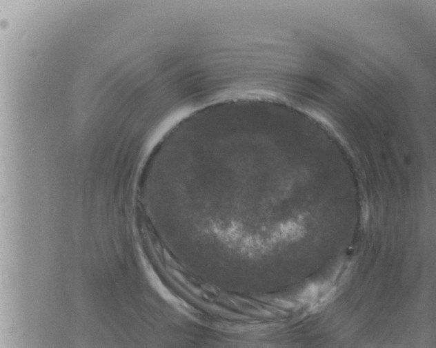 X0000062831038200601271946