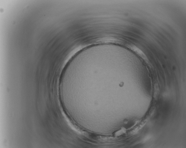 X0000062831039200601271946