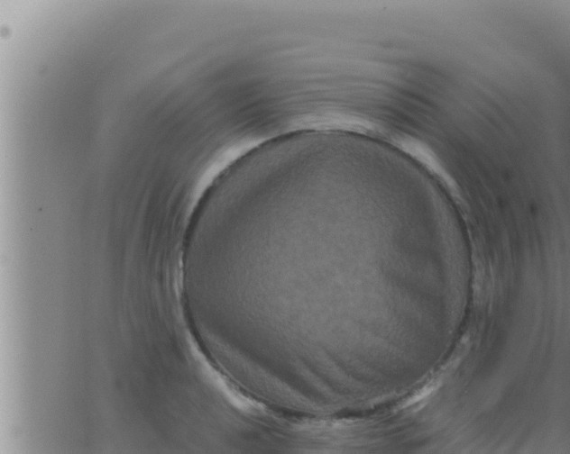 X0000062831040200601271946