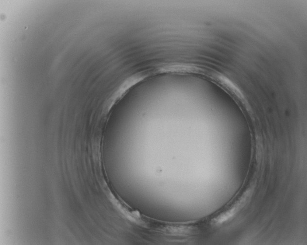 X0000062831041200601271946