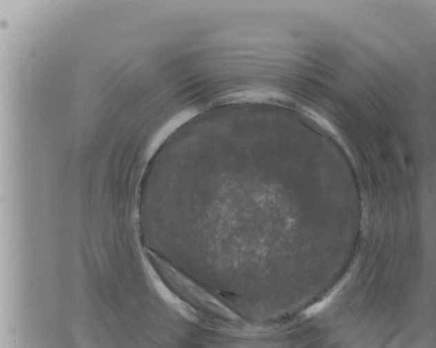 X0000062831042200601271946