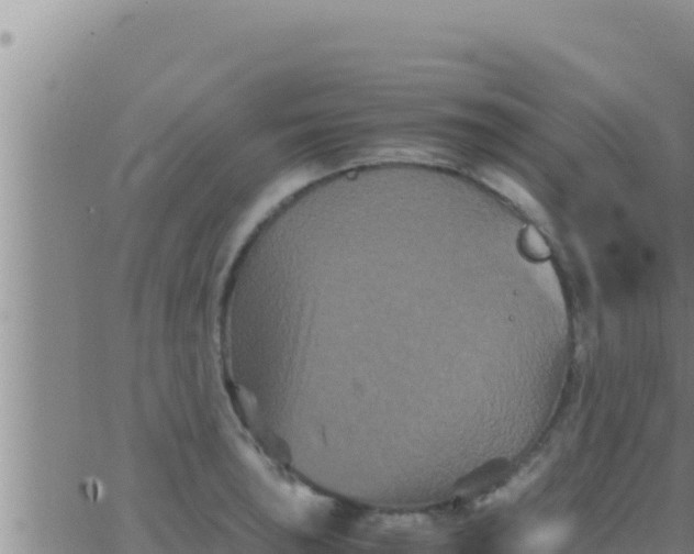 X0000062831043200601271946