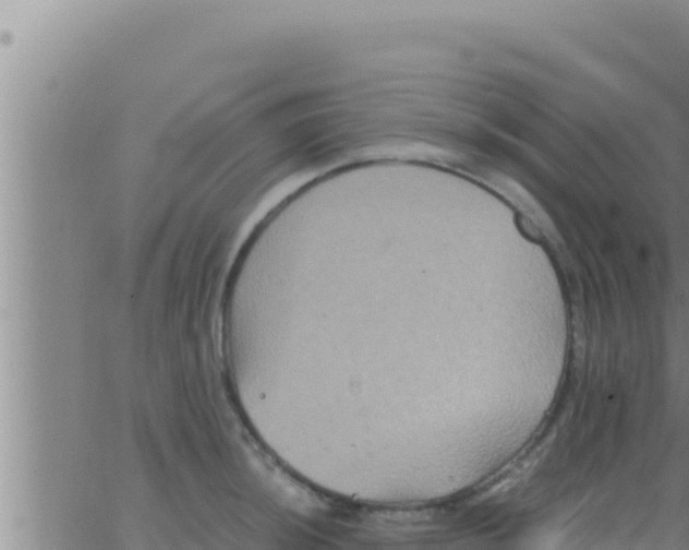 X0000062831044200601271946