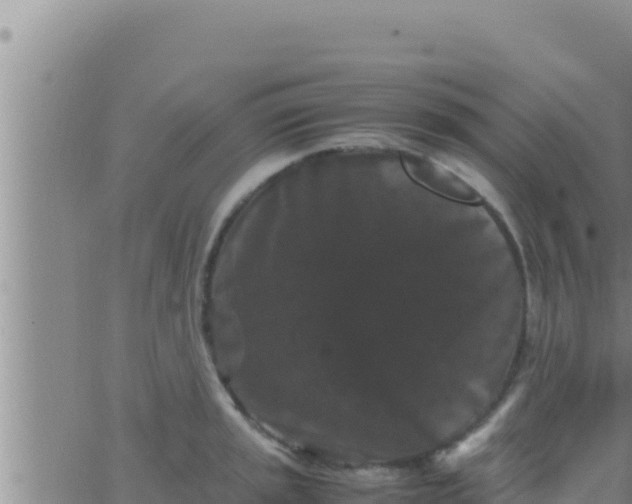 X0000062831045200601271946