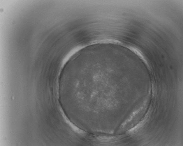 X0000062831046200601271946