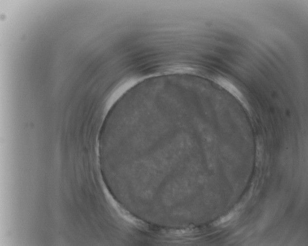 X0000062831047200601271946