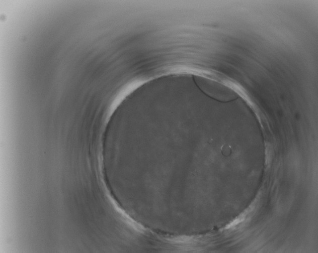 X0000062831048200601271946