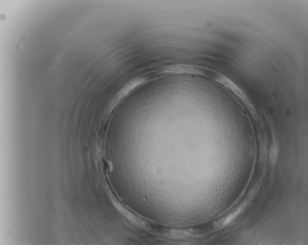 X0000062831049200601271946