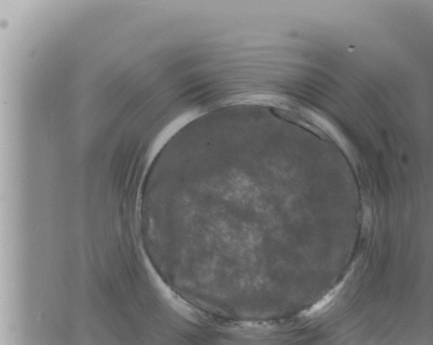 X0000062831050200601271946