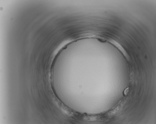 X0000062831051200601271946