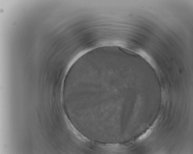 X0000062831052200601271946