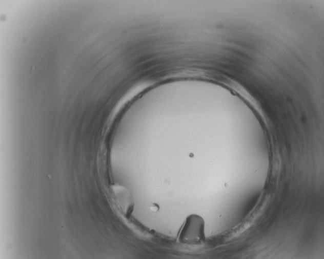 X0000062831053200601271946