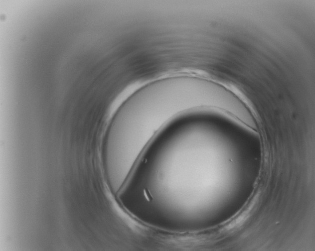 X0000062831054200601271946