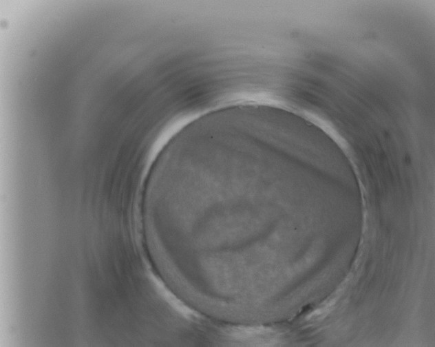 X0000062831056200601271946